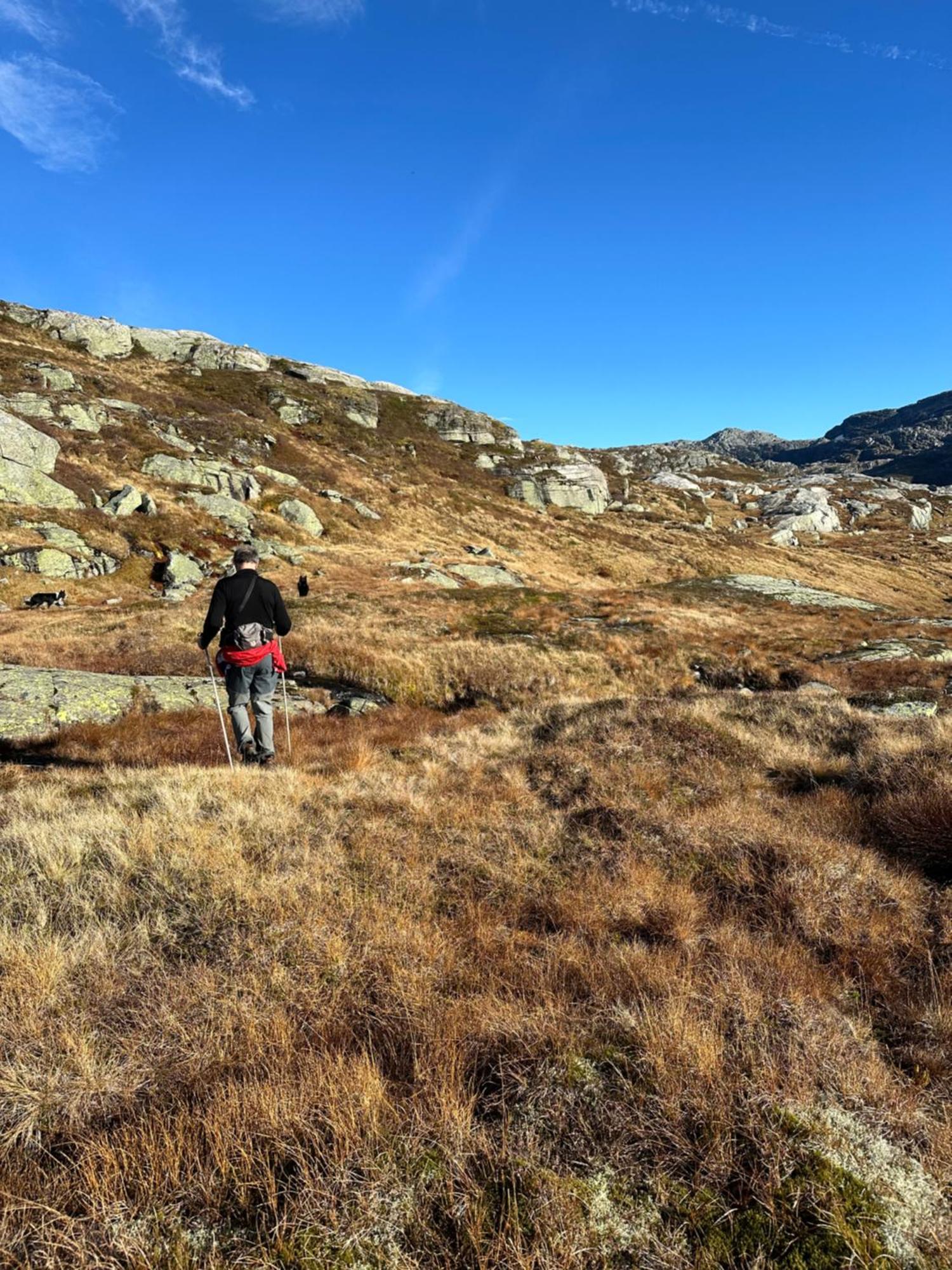 Akrafjorden Nature B&B As Fjaera Bagian luar foto