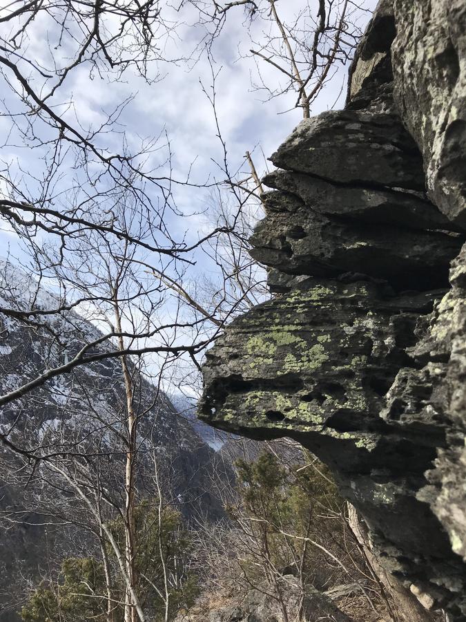 Akrafjorden Nature B&B As Fjaera Bagian luar foto